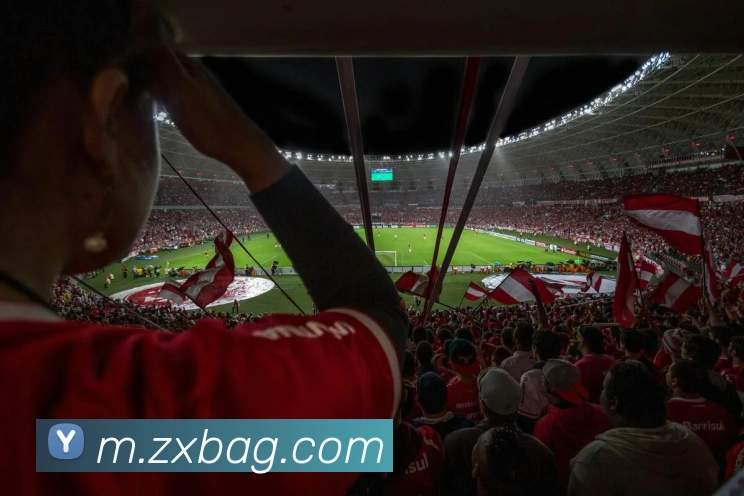 多媒体互动体验