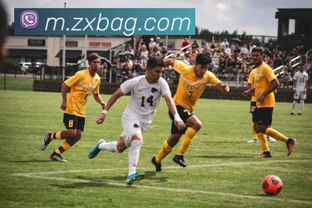 ag官网APP 高清赛事图